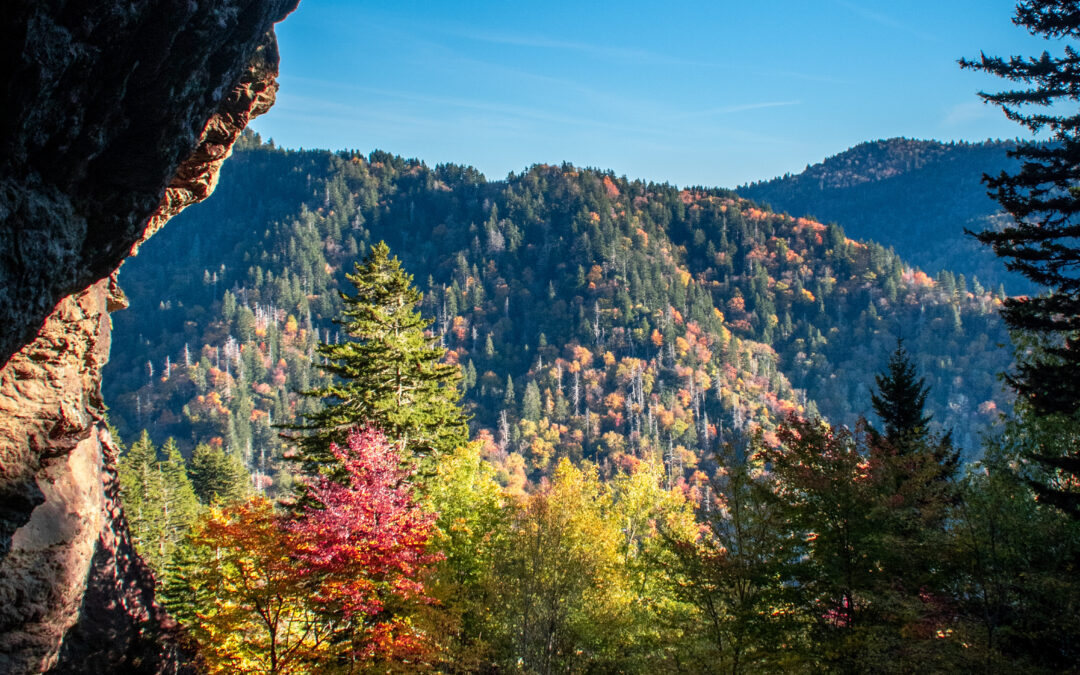 Beautiful Leaves in the Smokies. When to See Them, Where to Find Them. Fall of 2023